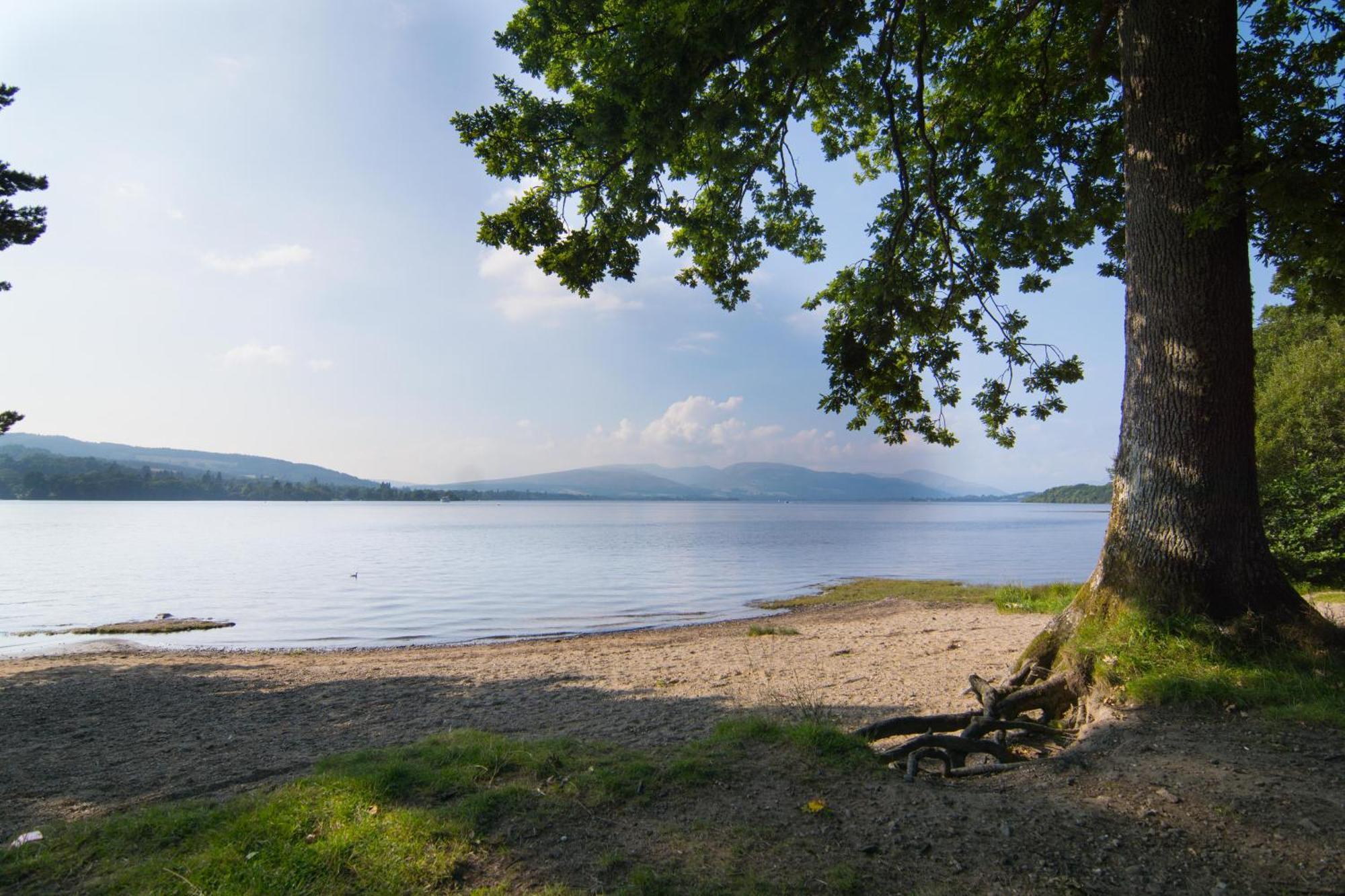 Norwood Guesthouse-Loch Lomond Balloch Kamer foto